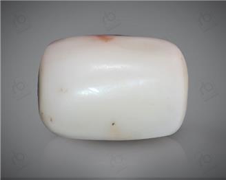 Natural White Coral ( Safed Moonga) Certified  11.21 CTS. ( 91484 )
